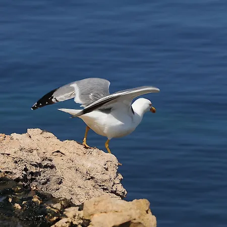 Bohemebleue Hotel Sigacik