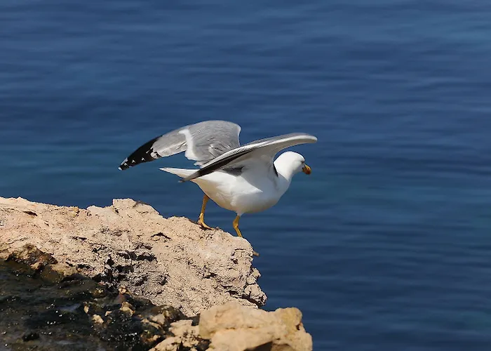 Bohemebleue Hotel Siğacık